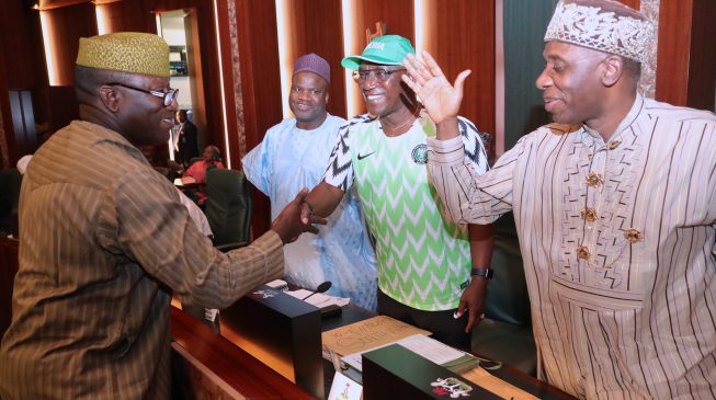 FEC members shower tributes on Fayemi as he bows out of Buhari’s cabinet