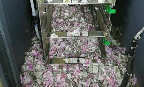 EXTRA: Rats invade ATM in India, tear money to shreds
