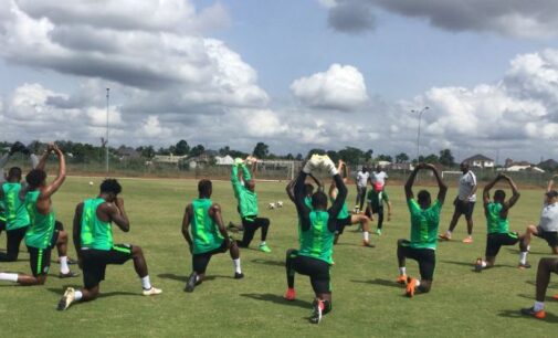 World Cup Special: Meet the 23 ‘anointed’ Eagles flying to Russia