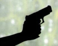 Catholic priest shot dead in Imo