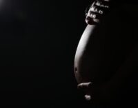 FACT CHECK: Lawyer claims surrogacy is illegal in Nigeria. How true?