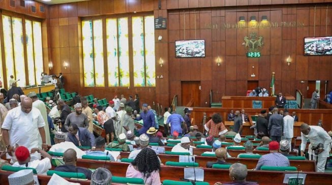 You lack power to probe criminal cases, court tells n’assembly