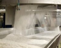 ‘It’s unethical’ — Dangote Sugar Refinery denies price manipulation allegation