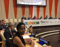 LADOL MD asks UN to support private sector in developing countries