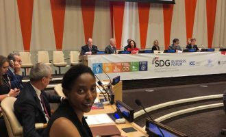 LADOL MD asks UN to support private sector in developing countries
