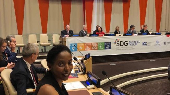 LADOL MD asks UN to support private sector in developing countries