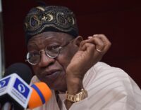 Lai: Nigerians will enjoy 11,000MW of electricity by 2023