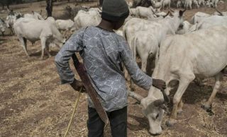 Herdsman kill police inspector in Kebbi