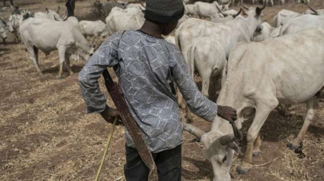 JUST IN: Herdsman kill police inspector in Kebbi