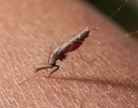 Malaria prevalence to ‘reduce from 23 to zero percent’