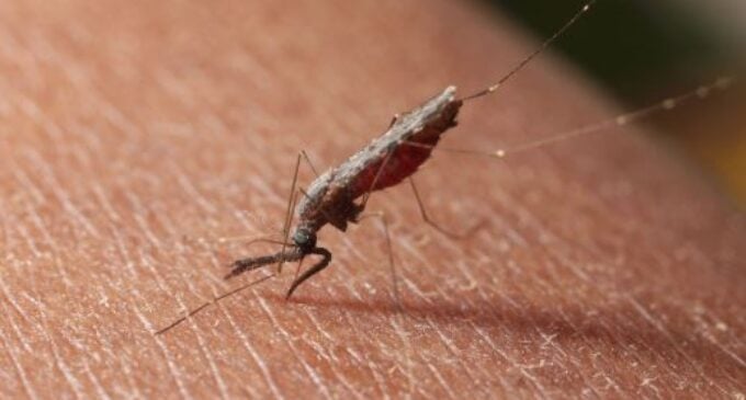 Malaria prevalence to ‘reduce from 23 to zero percent’