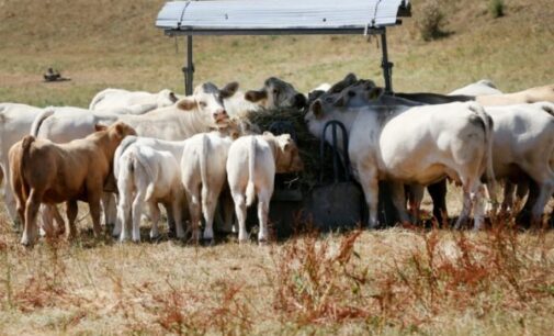Ruga settlements delivered by ‘Nigeria Air’