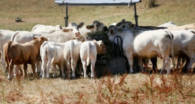 Ruga settlements delivered by ‘Nigeria Air’