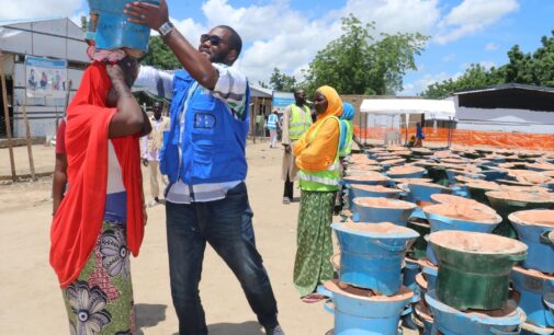 How stoves are keeping women off danger in Borno