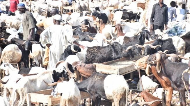 Eid-el-Kabir: FG declares Tuesday, Wednesday as public holidays