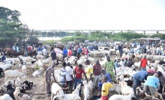 PHOTOS: Lagos residents in last-minute rush for Sallah rams