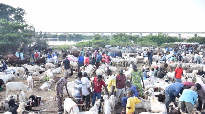 PHOTOS: Lagos residents in last-minute rush for Sallah rams