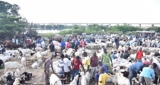 PHOTOS: Lagos residents in last-minute rush for Sallah rams