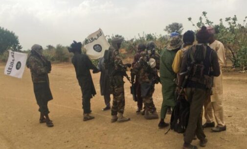 How Boko Haram fighters looted Adamawa towns
