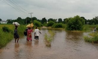 30,000 displaced as flood sacks 35 communities in Edo