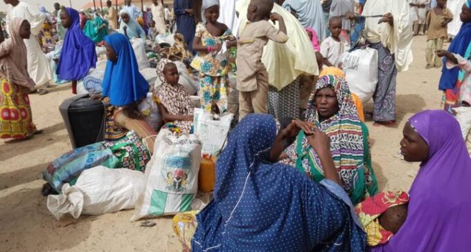 UN: 80,000 displaced from north-east Nigeria since Nov 2018