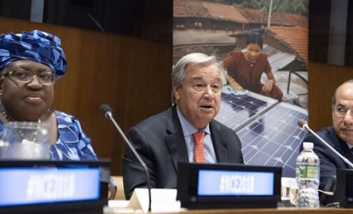Okonjo-Iweala: Fighting climate change can add $26trn to global economy