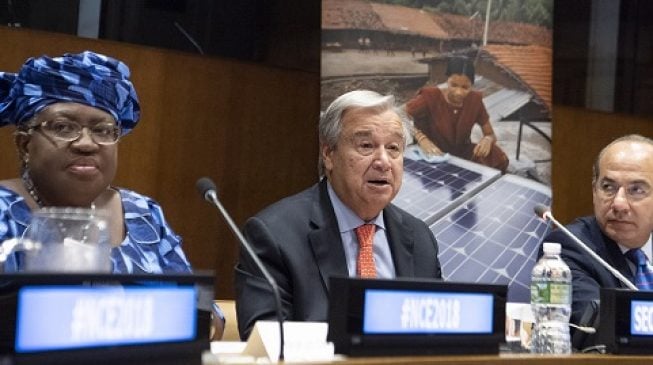 Okonjo-Iweala: Fighting climate change can add $26trn to global economy