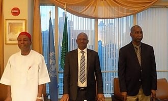 ‘Things are changing’ — minister urges Nigerians in diaspora to return home