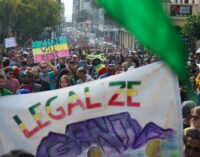 South Africa legalises marijuana use