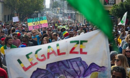 South Africa legalises marijuana use