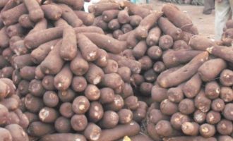 Researcher: Nigeria losing N10bn to post-harvest losses