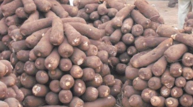 Researcher: Nigeria losing N10bn to post-harvest losses