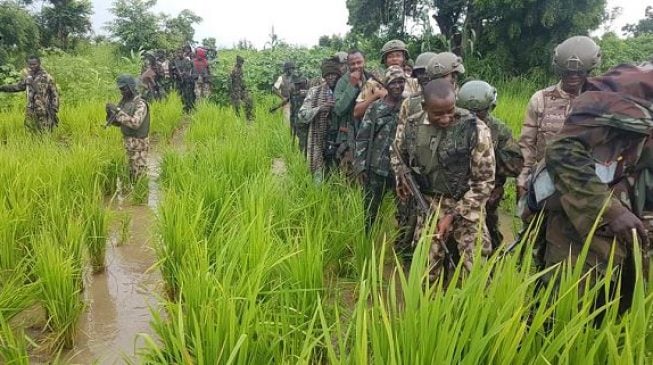Army: Troops kill 14 insurgents, rescue 23 hostages in Borno