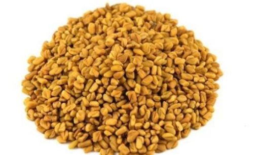 Eat Me: Boosts libido, relieves menstrual pain… why fenugreek is good for you