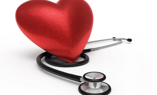 Kanu Heart Foundation, The Grays mark World Heart Day