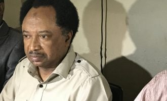 Shehu Sani kicks as Kaduna APC adopts indirect primary