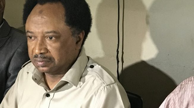 Shehu Sani kicks as Kaduna APC adopts indirect primary