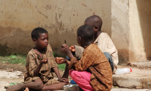 Inside the world of Kano children who stay away from school so their parents can feed