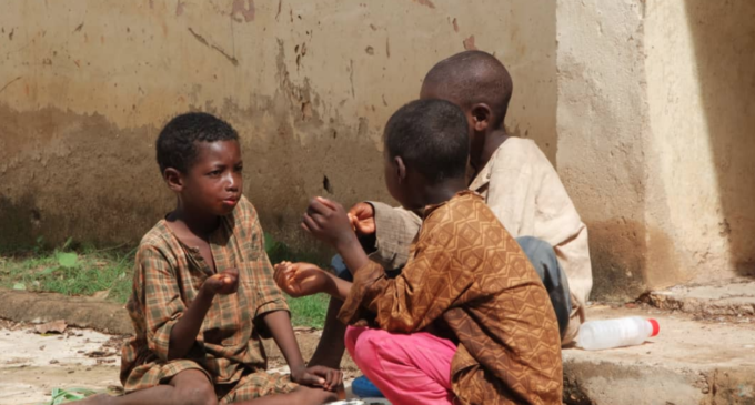 Inside the world of Kano children who stay away from school so their parents can feed
