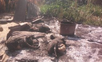 Boko Haram sacks two communities in Borno