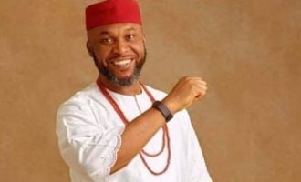 Osita Chidoka: There was no Nollywood when PDP took over in 1999