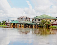 Statistician-general inaugurates flood impact report, says Bayelsa worst hit