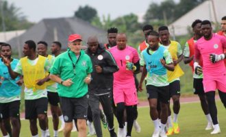 Onazi out of Libya game after suffering achilles injury