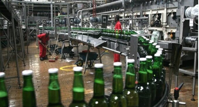 Nigerian Breweries declares N7.7bn dividend, offers new shares option for shareholders