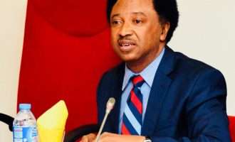 ‘You better stay where you are’ — Shehu Sani asks Ekweremadu not to leave PDP