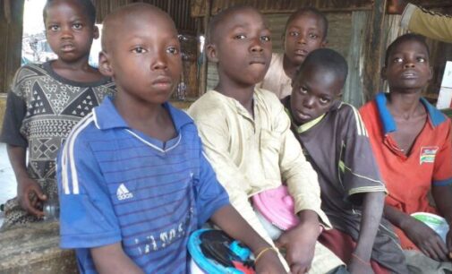 Inside the world of Almajiri children with big dreams but harsh reality