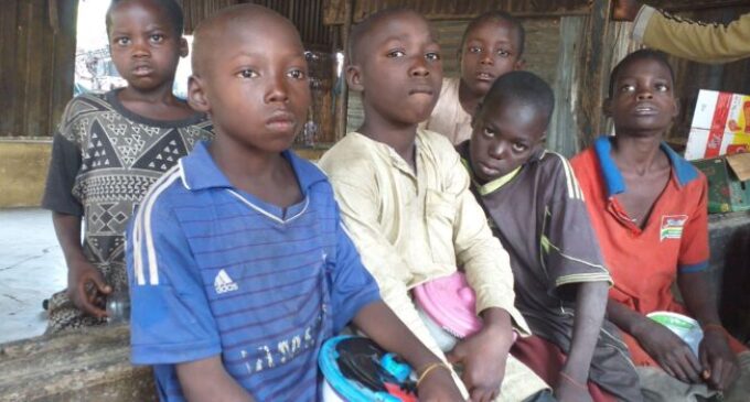 Inside the world of Almajiri children with big dreams but harsh reality
