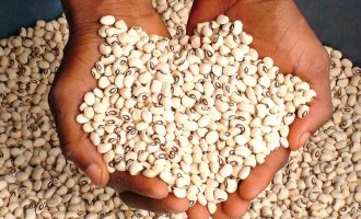ALERT: Retailers using ‘sniper’ to preserve beans, says CPC