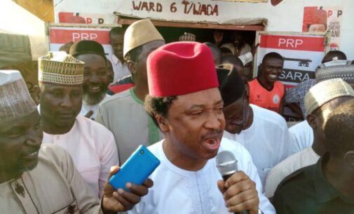 Shehu Sani launches re-election bid, names Igbo man as campaign DG