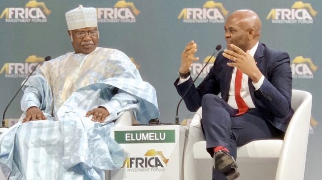 Elumelu: If local players are burnt, foreign investors won’t come